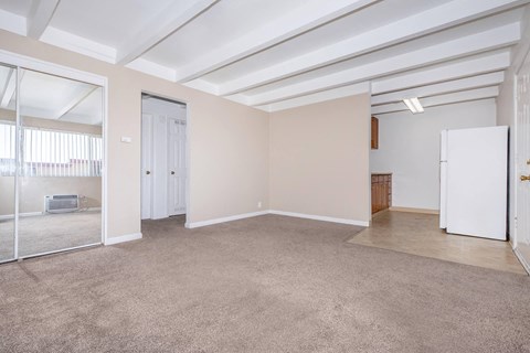 an empty living room with a large mirror and a closet