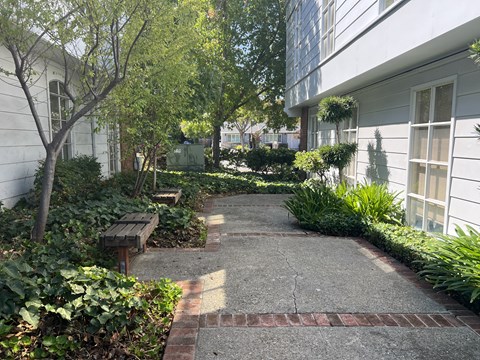 A small garden with a bench and a brick pathway.