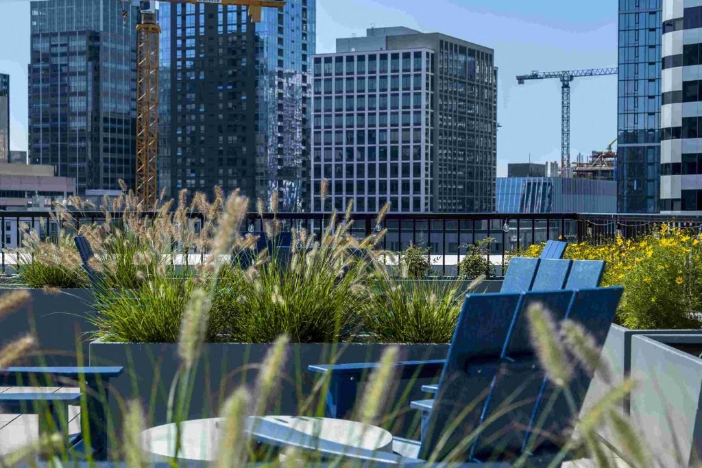 the roof terrace with city buildings in the background