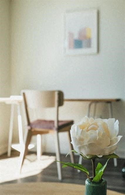 a white rose in a vase on a table with chairs