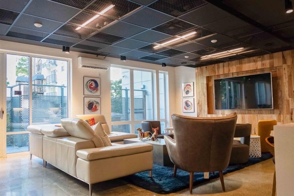 a living room with couches and chairs and a television
