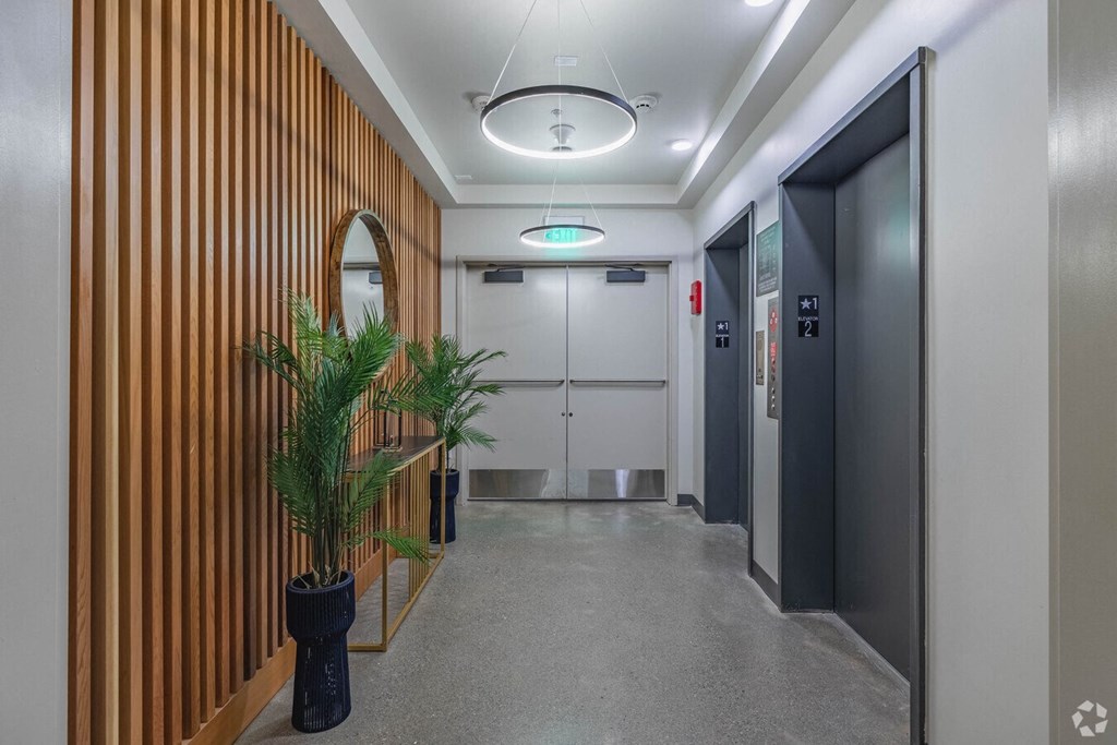 a hallway with elevators and a potted plant