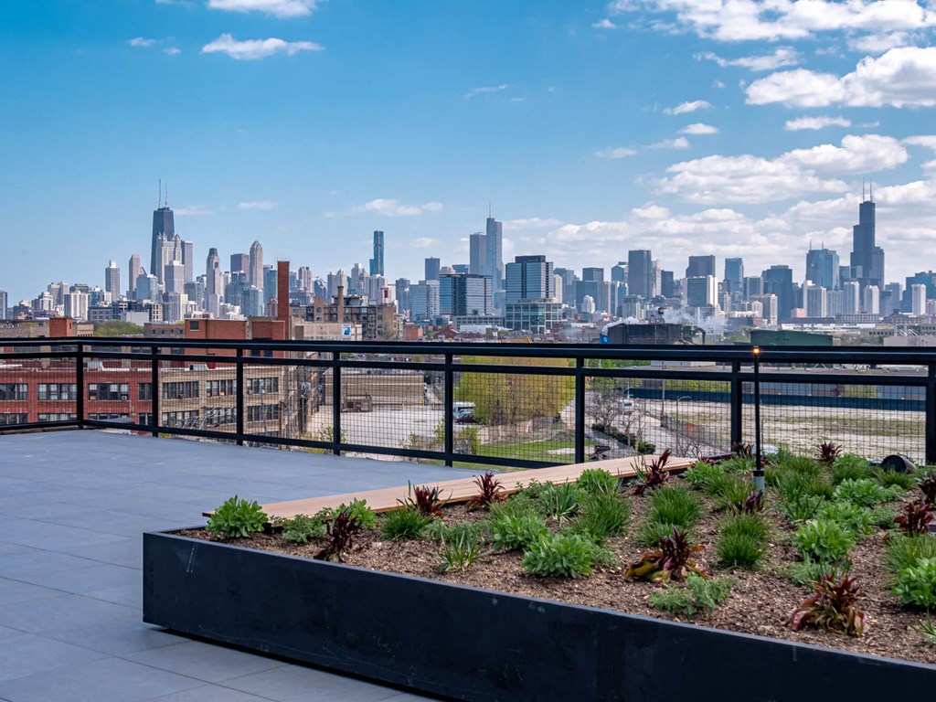 a view of the skyline from a rooftop garden