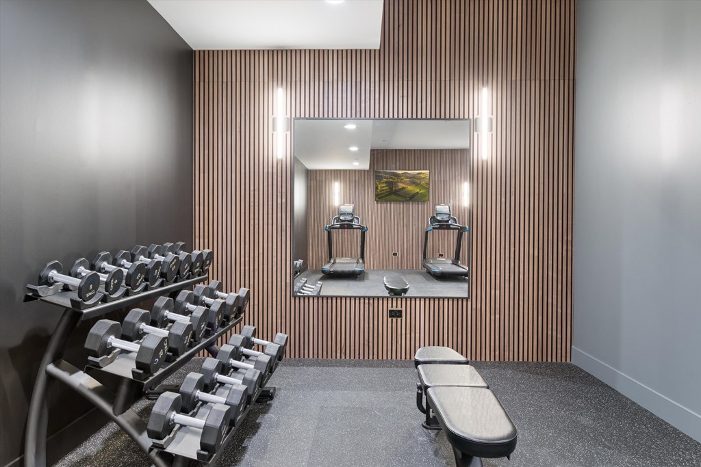 A gym with a bench, weights, and mirrors.