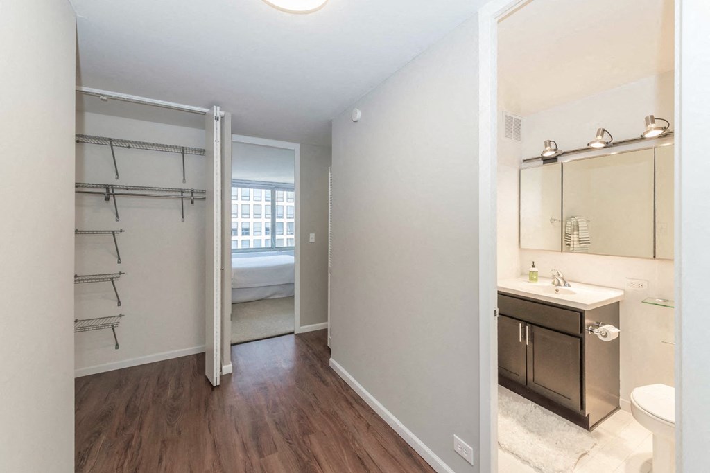 a bathroom with a sink and a mirror and a closet