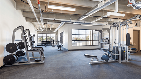 A gym with a variety of equipment including weights and machines.