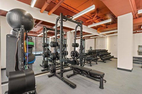 537 W Drummond Studio-2 Beds Apartment for Rent