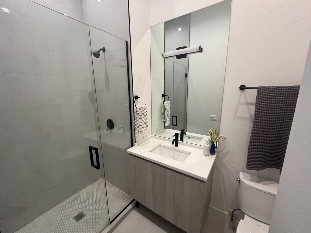 A modern bathroom with a walk-in shower and a double sink vanity.