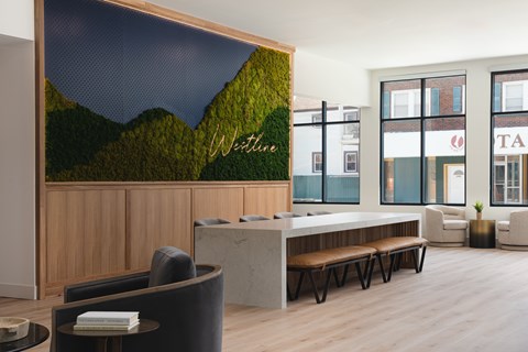 A reception area with a green mountain mural on the wall.