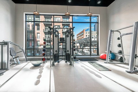Fitness center with strength training equipment and urban views at River North Park Apartments, Illinois, 60654