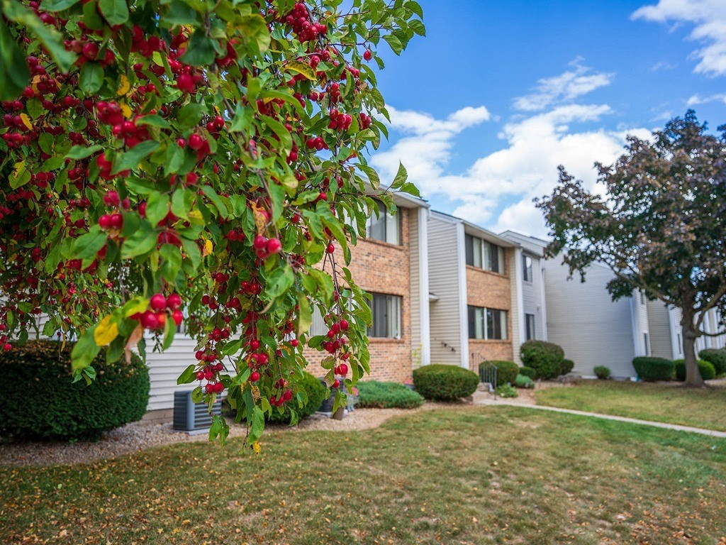 our apartments are located in the heart of a city