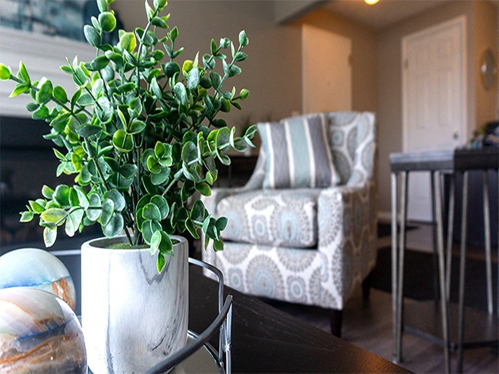 a living room with a potted plant and a couch