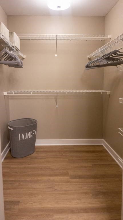 Interior view of Champion Reserve Townhomes primary bedroom walk-in closet