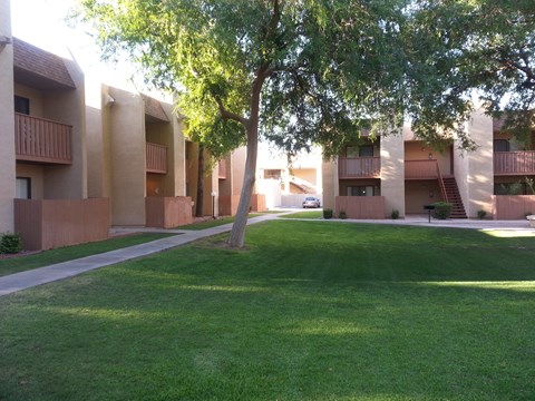 Desert Meadows apartments grass courtyard