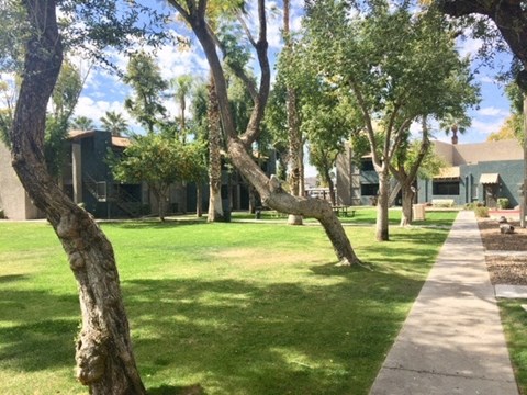 a sidewalk and trees in front of a building