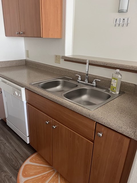 A kitchen with a sink and a dishwasher.