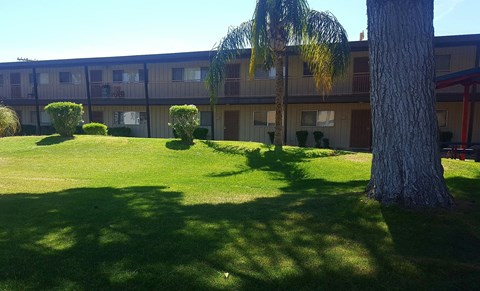 Camelback Properties apartments in Phoenix, AZ Grass Courtyard