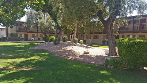 Camelback Properties apartments in Phoenix, AZ Grass Courtyard