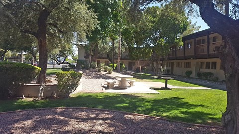 Camelback Properties apartments in Phoenix, AZ Grass Courtyard