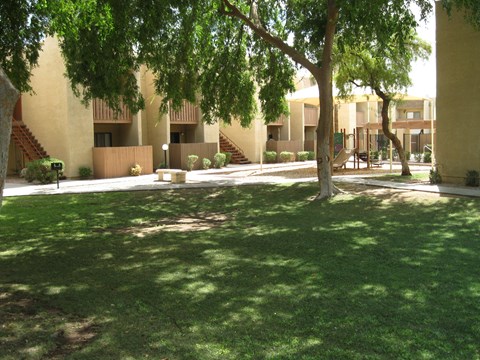 Desert Meadows apartments grass courtyard