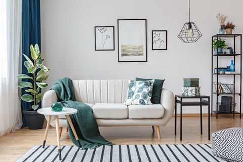 A living room with a white couch, a green throw, and a potted plant.