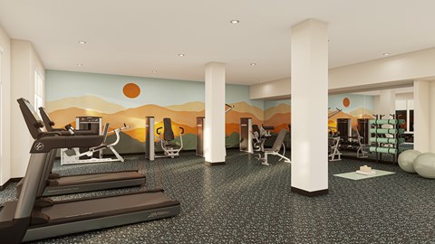 A gym with treadmills, weights and exercise balls.
