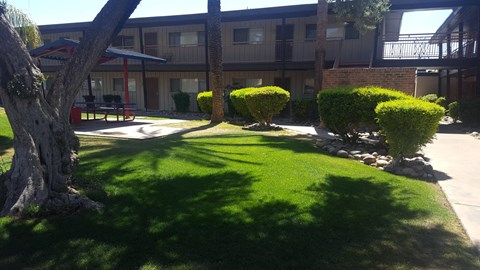 Camelback Properties apartments in Phoenix, AZ Grass Courtyard