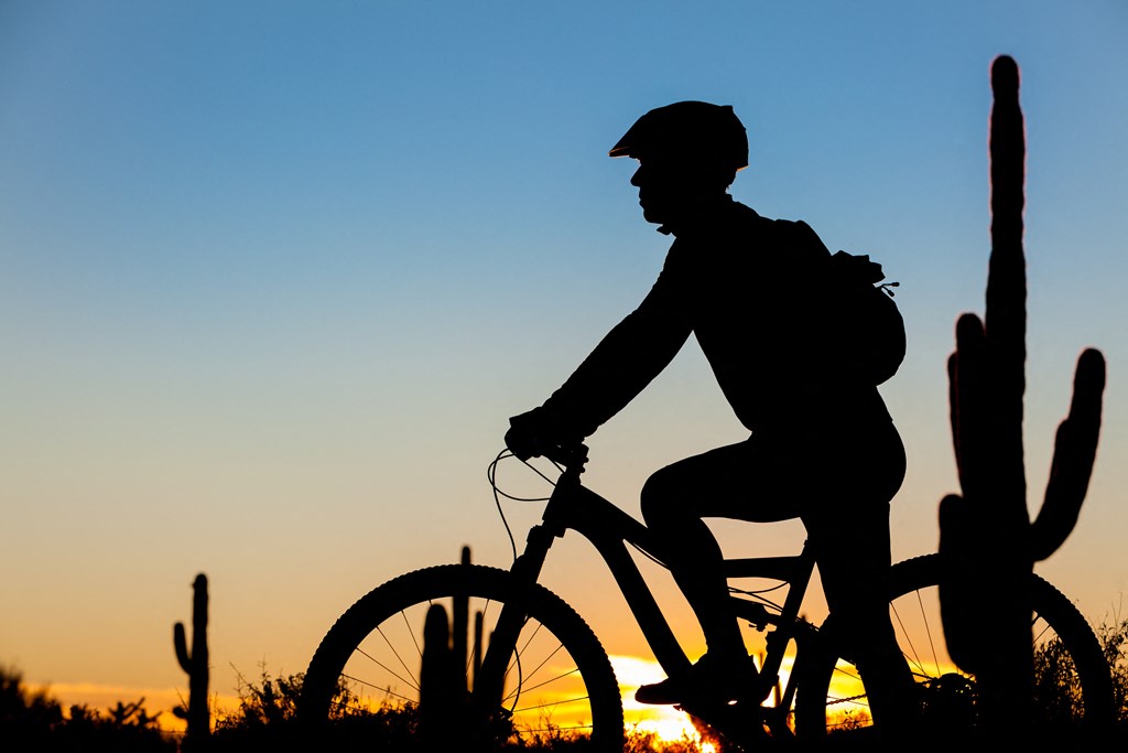 a man riding a bike in the desert with saguaro cactus
