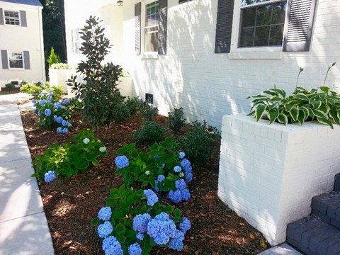 Garden Area at Midtown Park Townhomes, Raleigh, NC, 27609
