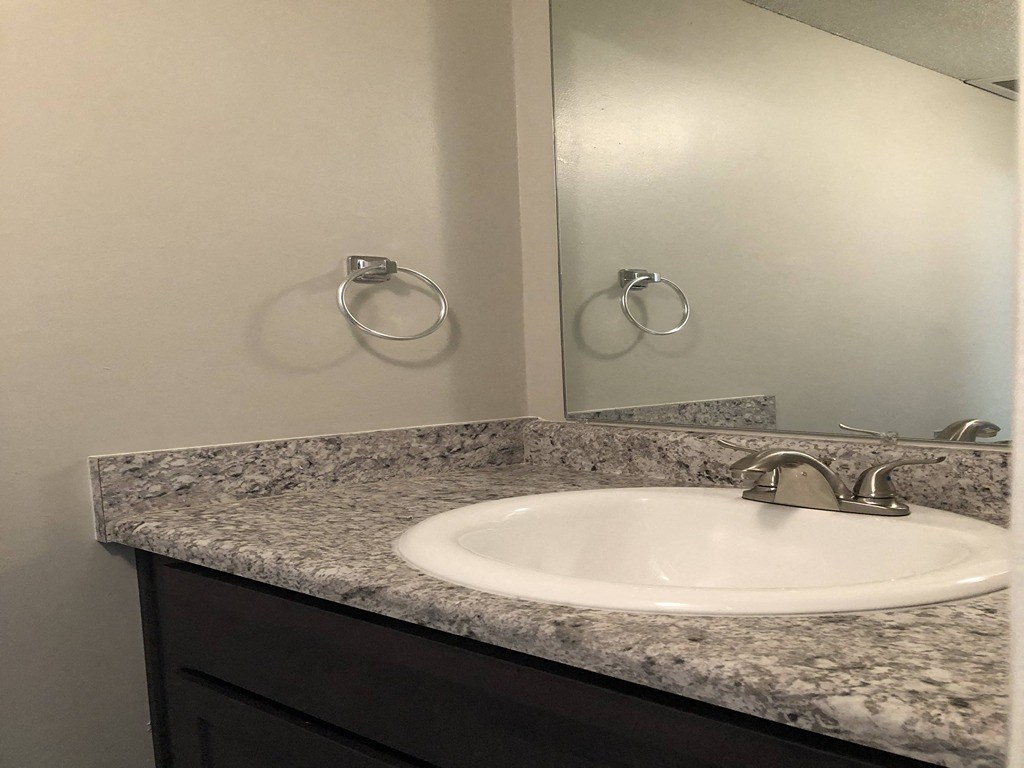 a bathroom with a sink and a mirror