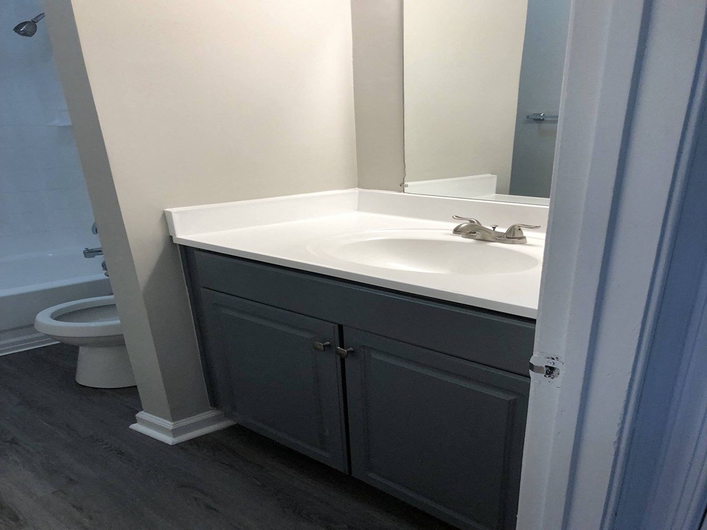 a bathroom with a sink and a toilet