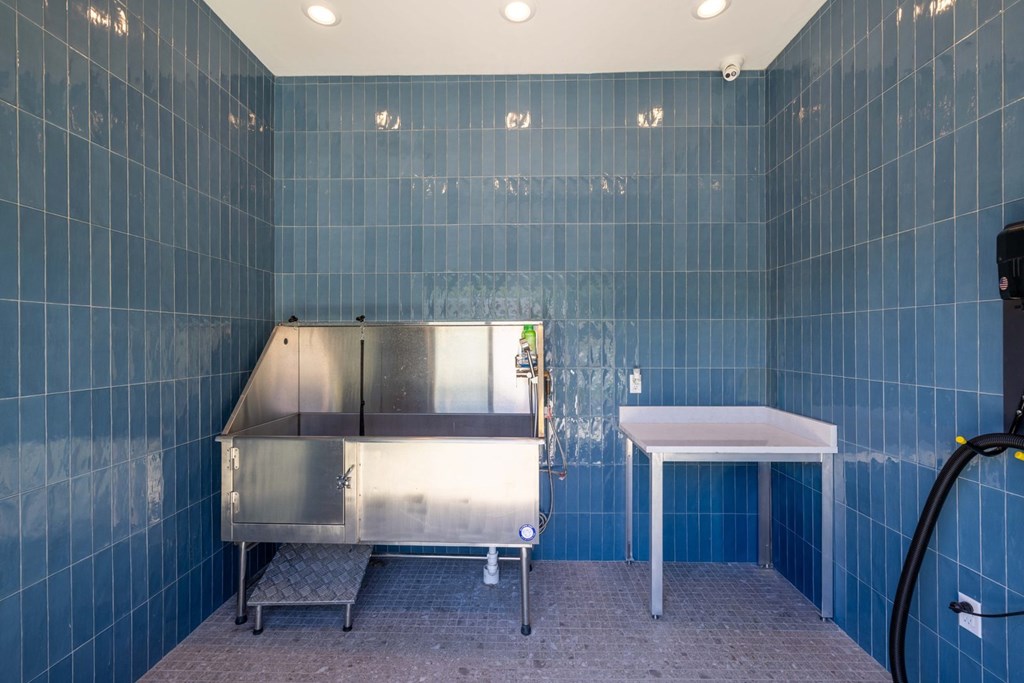 Pet Wash at Evolve at Parkway Apartment Homes, Concord, NC