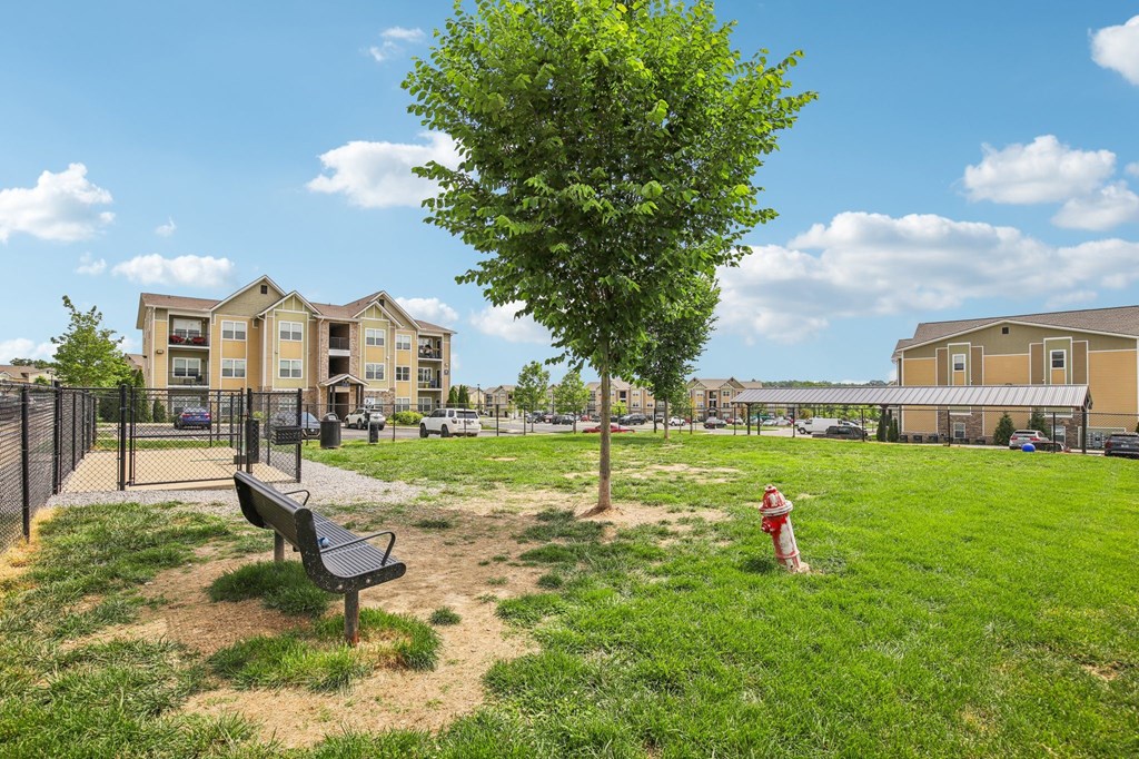 A park with a bench, a tree, and a fire hydrant at Venue at 109 Apartments, Tennessee, 37090