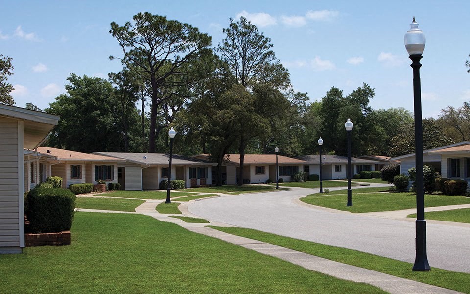 a neighborhood of houses with street lamps and trees