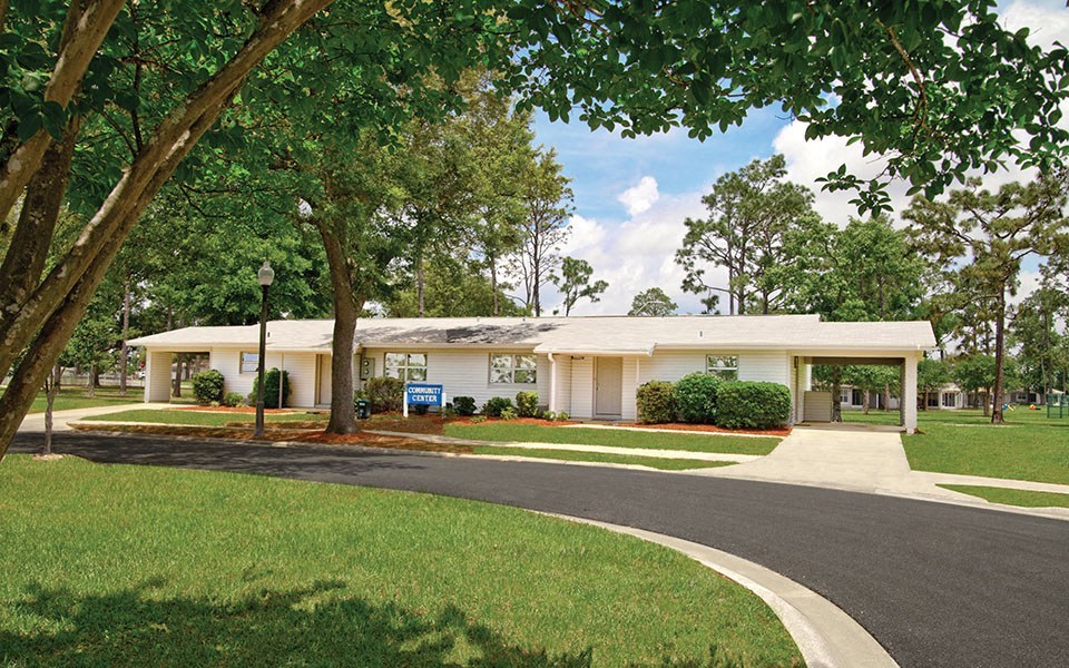 a fractal image of trees and a road with the word tree tir tir tir