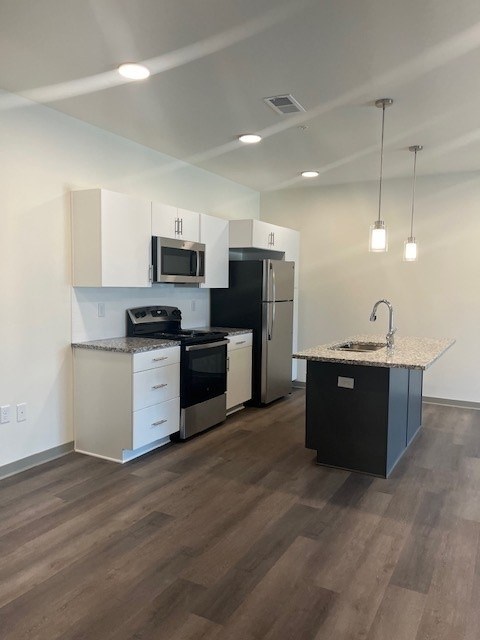 1701 Saltwell Springs Circle 1-2 Beds Apartment for Rent