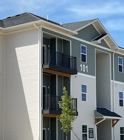 Apartment building with balconies and a tree in front.