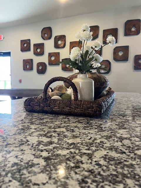 1701 Saltwell Springs Circle 1-2 Beds Apartment for Rent