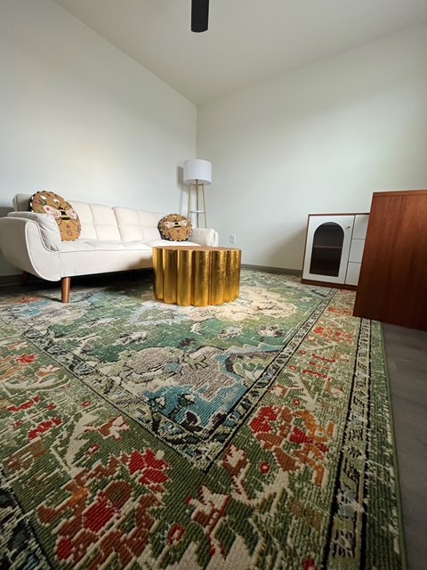 A living room with a rug and a white couch.