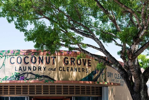 a sign for coconut grove laundry and cleaners in front of a tree