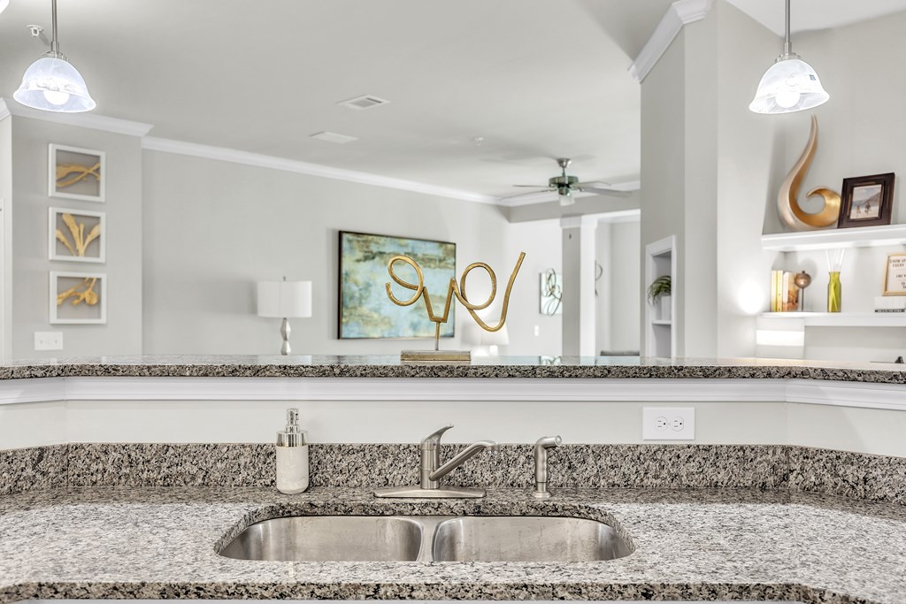 Double Stainless Steel Sink at Sterling Creek at Richmond Hill, Georgia , 31324