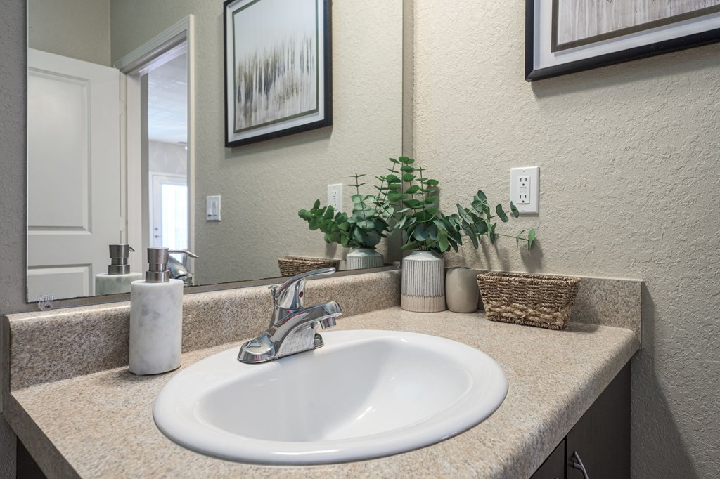 A white sink is on a counter with a mirror above it.