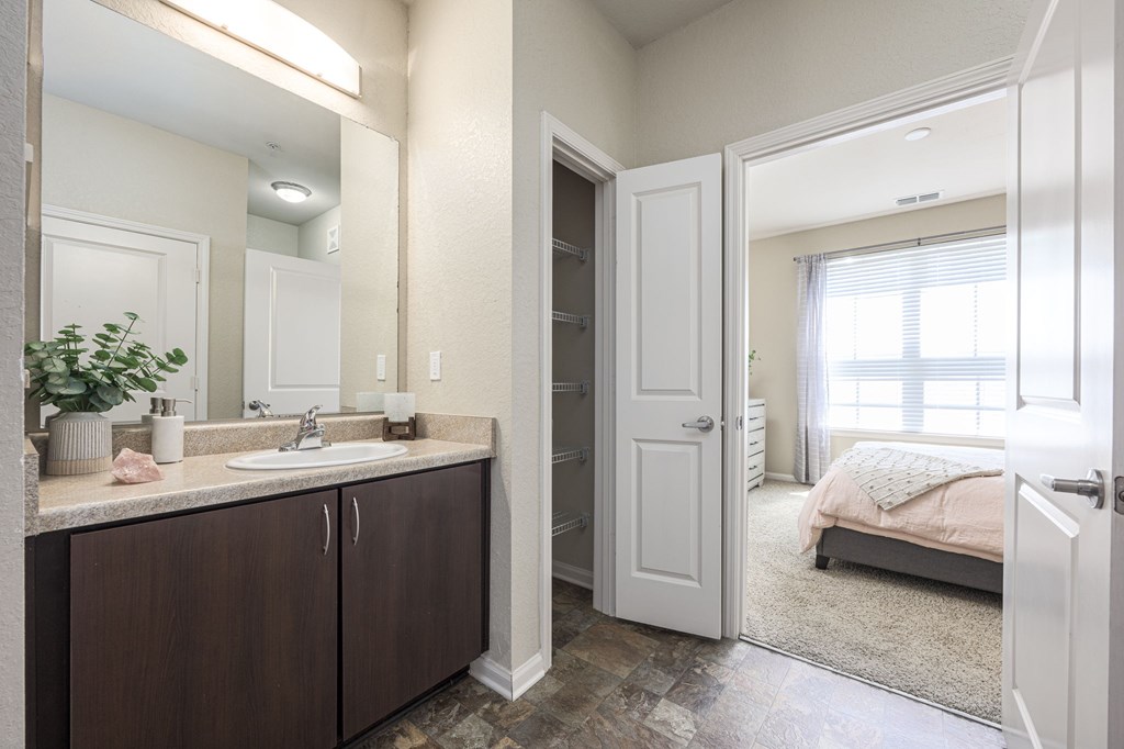 A bathroom with a sink, mirror, and a plant on the counter.