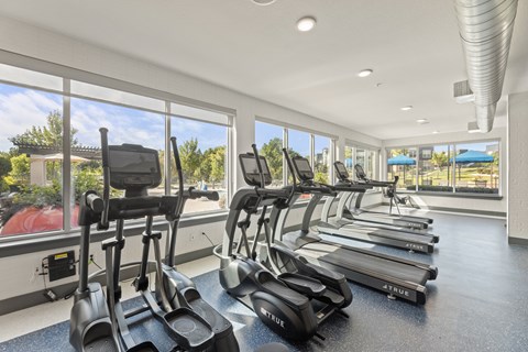 A row of treadmills in a gym with a view of the outdoors at The Preserve at Preston Trails Apartments, Texas