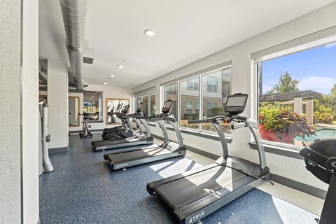 A gym with treadmills and a view of the outside at The Preserve at Preston Trails Apartments, Cedar Hill, TX