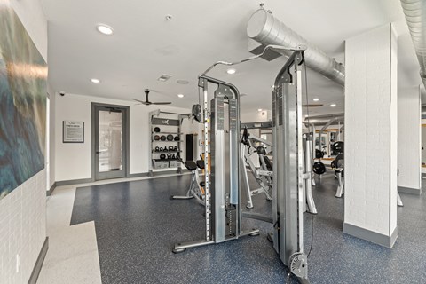A gym with a variety of equipment including a treadmill, a weight machine and a rowing machine at The Preserve at Preston Trails Apartments, Cedar Hill, TX, 75104