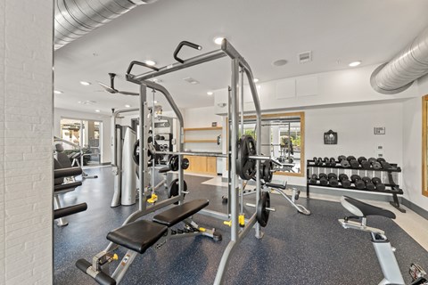 A gym with a variety of equipment including a weight bench, a barbell and a squat rack at The Preserve at Preston Trails Apartments, Cedar Hill 75104