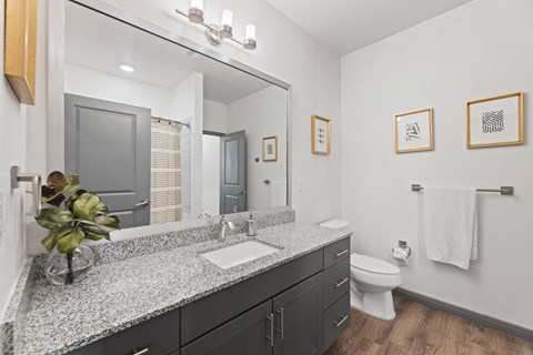 A bathroom with a marble countertop and a white toilet at The Preserve at Preston Trails Apartments, Cedar Hill 75104