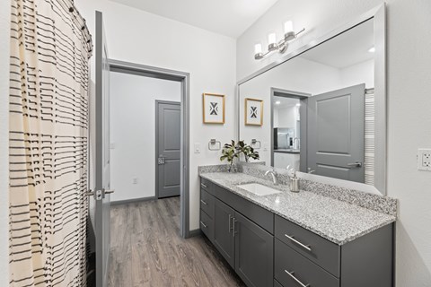 A bathroom with a sink, mirror, and a shower curtain at The Preserve at Preston Trails Apartments, Cedar Hill, TX