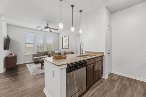 Contemporary Kitchen at Platinum Castle Hills, Texas, 75056